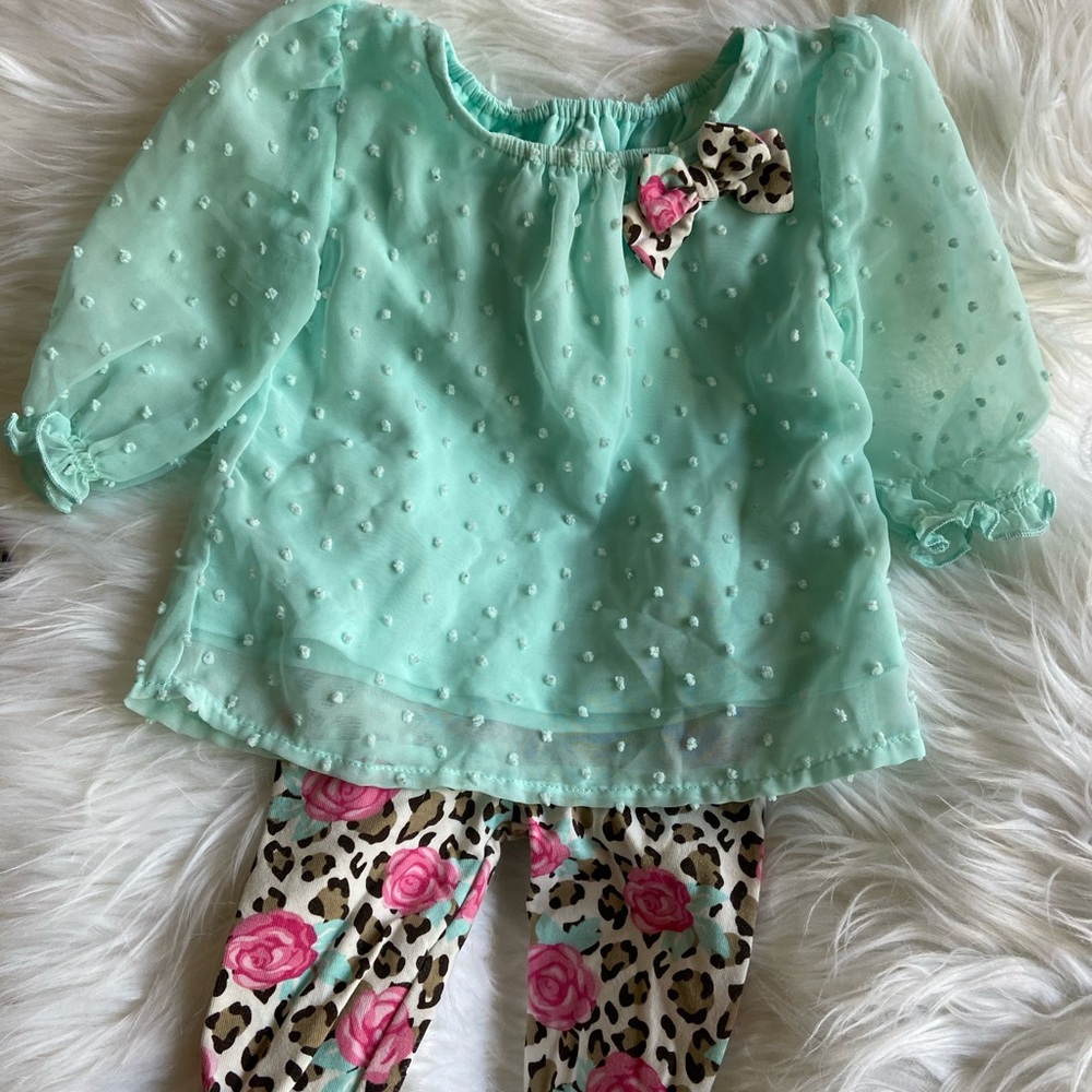 Healthtex 2 piece baby girl sheer shirt set.